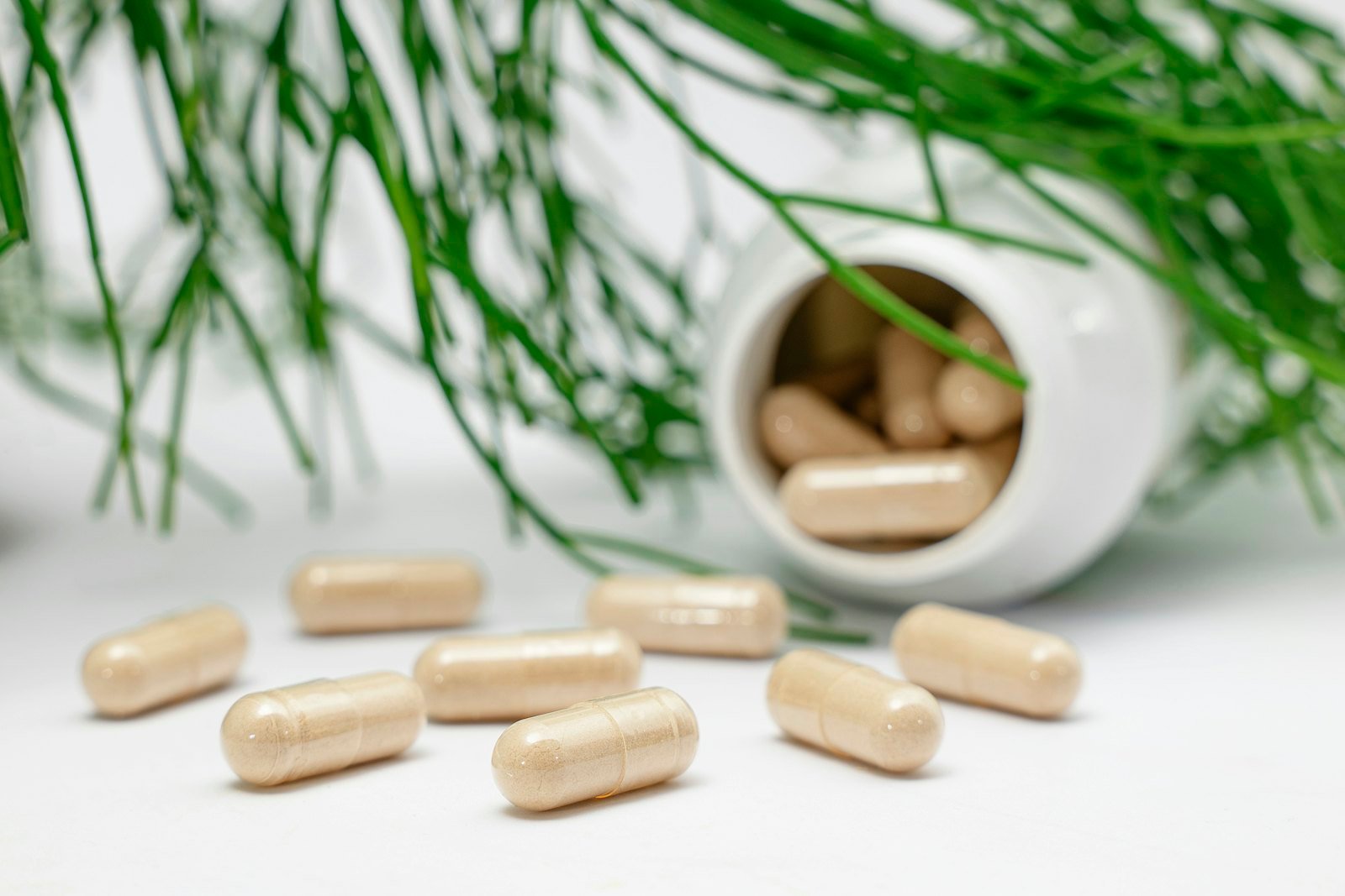 Health & Nutrition Products: EU Labelling and Claims Basics